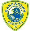 Canterbury Bankstown Fc