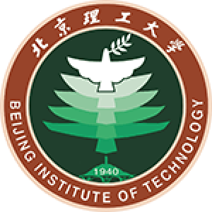 Beijing It