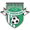 Kf Dukagjini